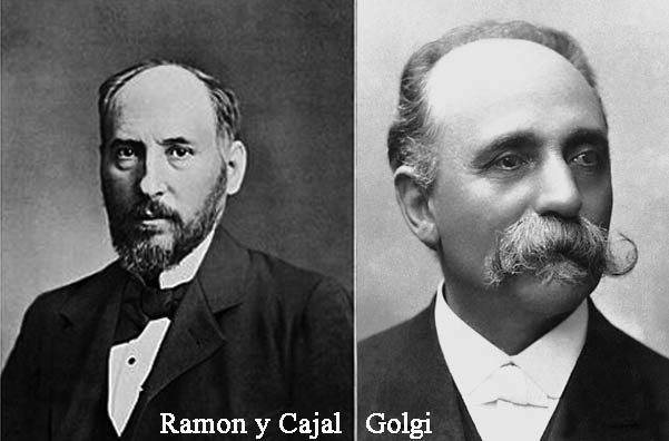 Ramon y Cajal und
Golgi 